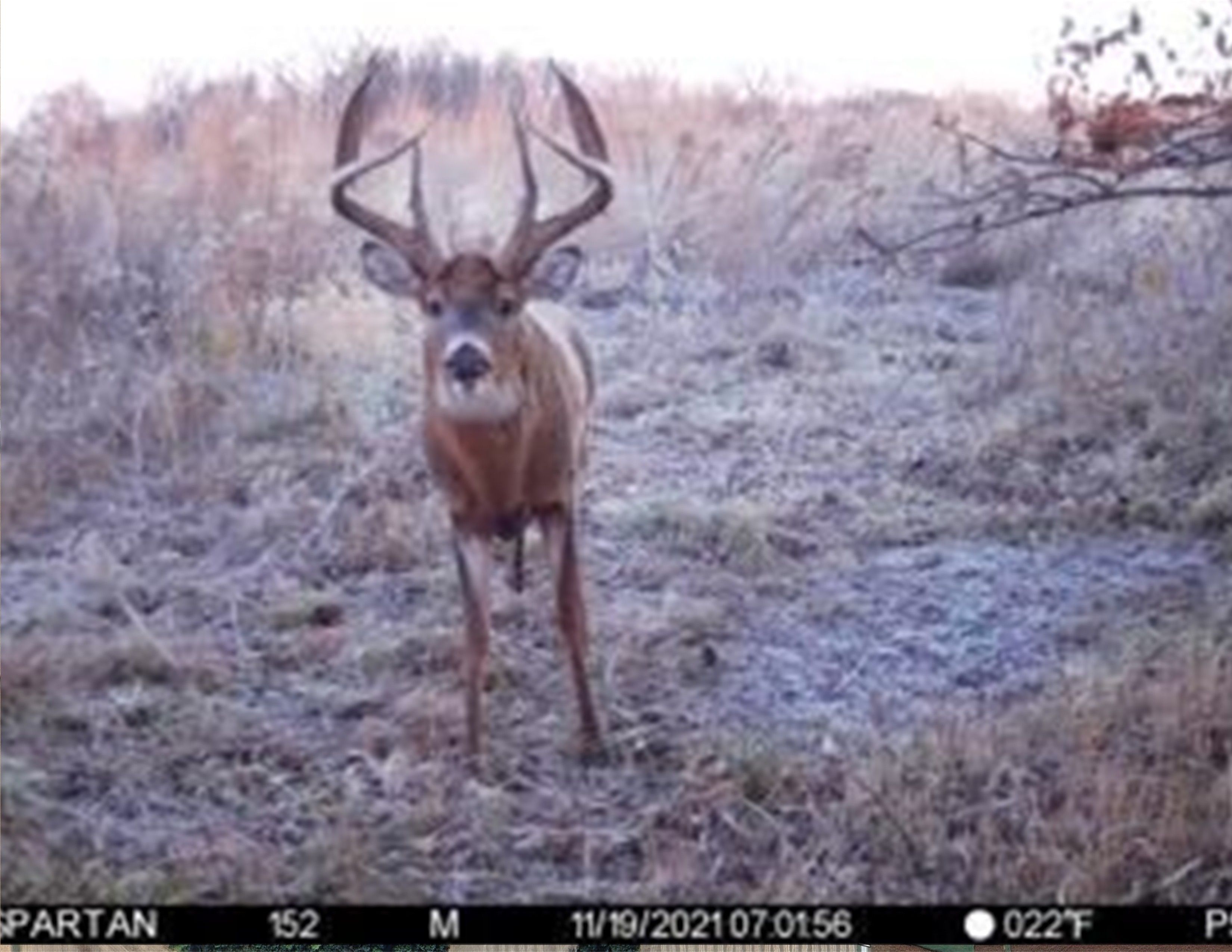 Listing Photo: 18135-IMAG0293 (1)